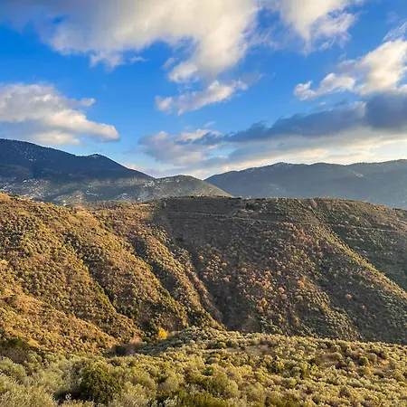 Veranda Арахова